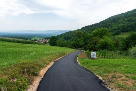 Cesta Jagodnik (Osojnik) 